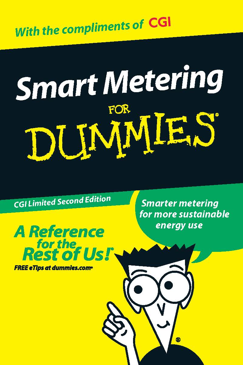 Smart Metering for Dummies