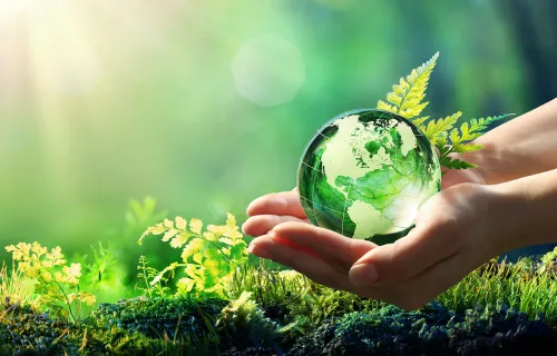 Webinar: Earth Day 2022 - Connecting with the Earth for a Sustainable Future