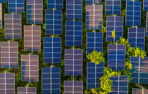 Solar farm in a forest